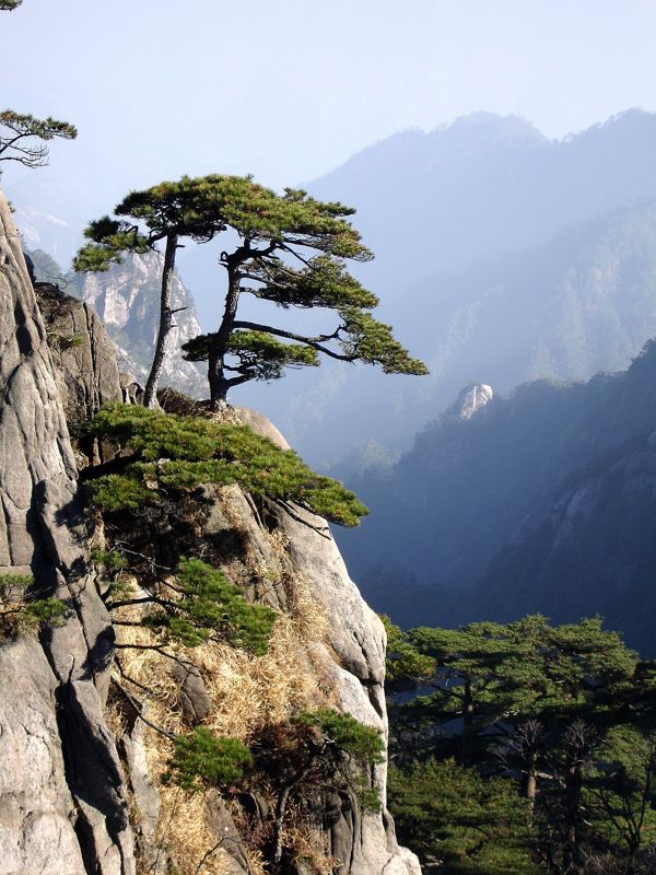 Granite mountain scenery in Huangshan.